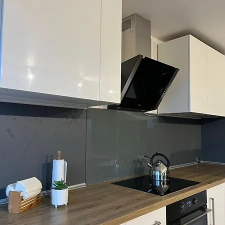 アパート Lesner Apartament Stare Miasto *